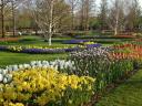 keukenhof1.JPG