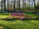 keukenhof3.JPG